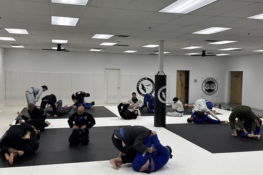 Adult Jiu-Jitsu Class on Mats