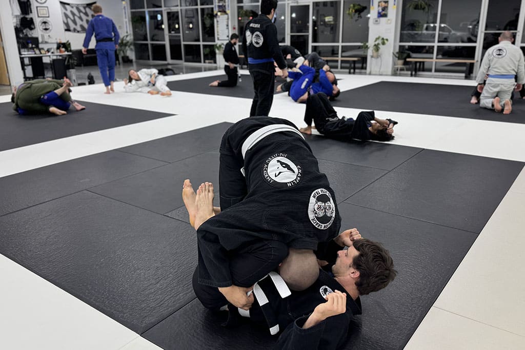 Adult Jiu-Jitsu Group Training