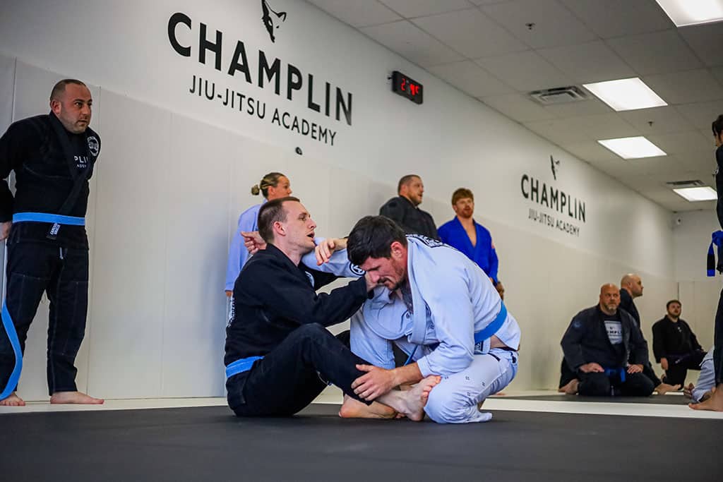 Brazilian Jiu-Jitsu Training Session