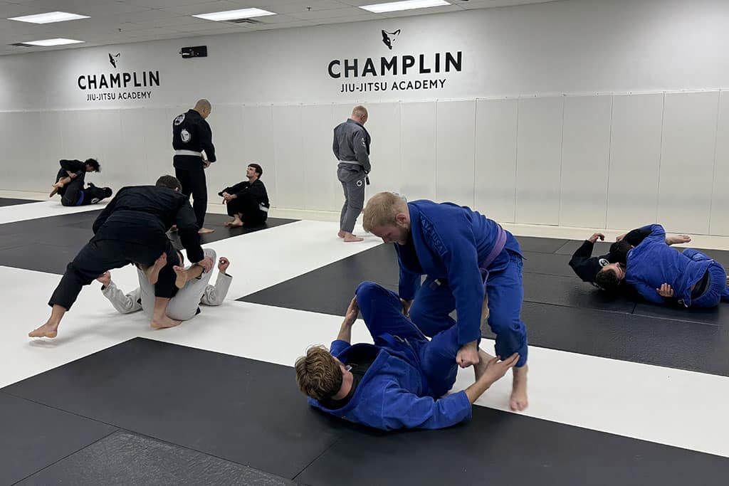 Jiu-Jitsu Adults Training on Mats